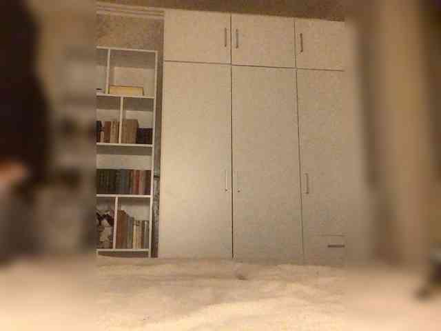 saintpiterskaya webcam