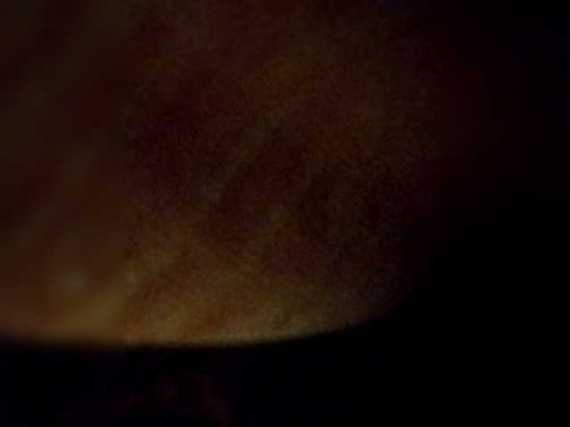 Sasha-69-1's BongaCams show and profile