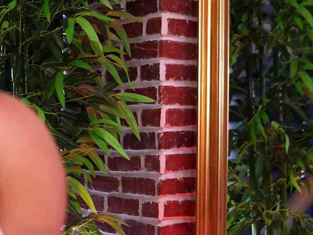 MillaSerene webcam