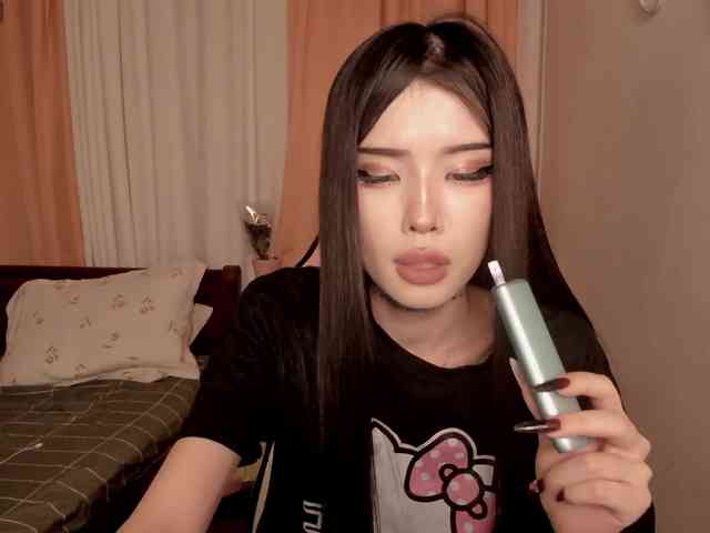 pakkminni webcam