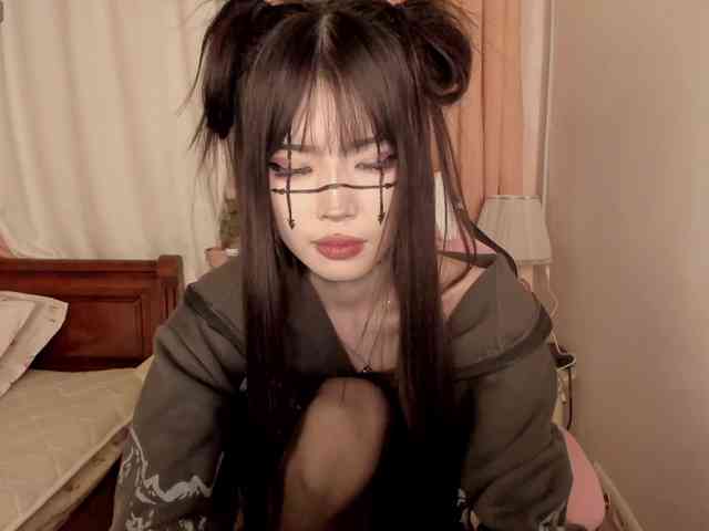 pakkminni webcam