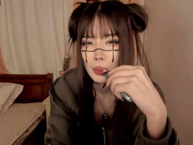 pakkminni webcam