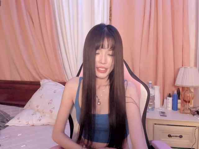 pakkminni webcam
