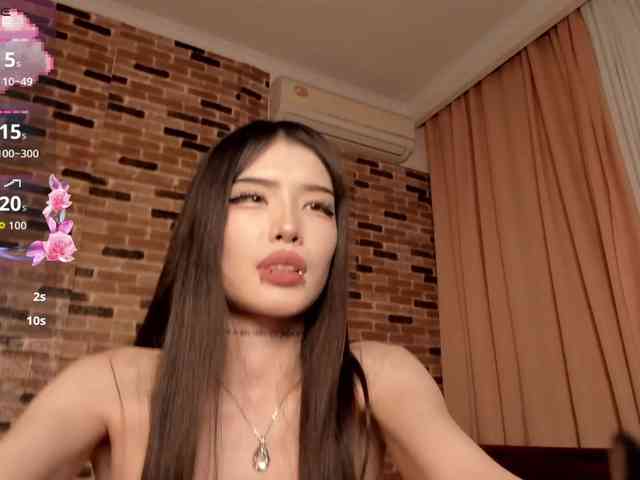 pakkminni webcam