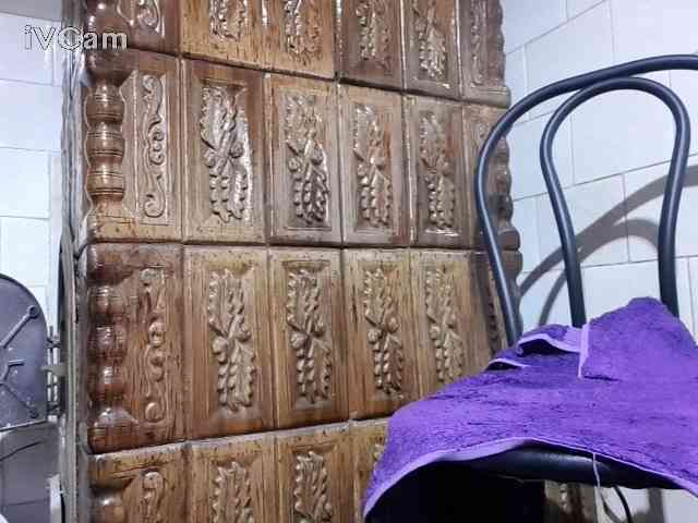 Single25wolf Single25wolf