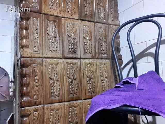 Single25wolf Single25wolf