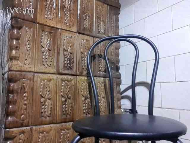 Single25wolf Single25wolf