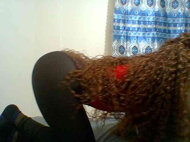 brianna254 webcam