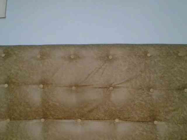 Faozia webcam