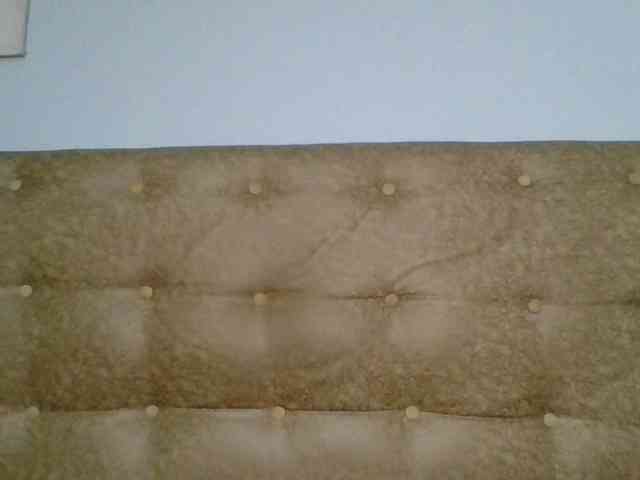Faozia webcam