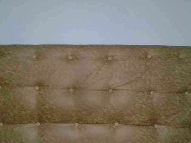 Faozia webcam