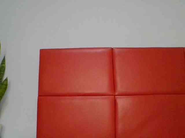 Faozia webcam