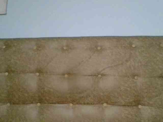 Faozia webcam