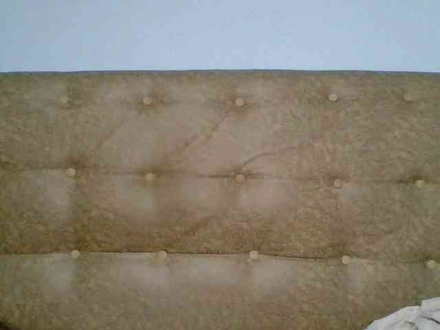 Faozia webcam