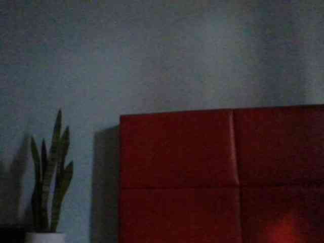 Faozia webcam