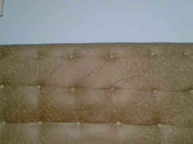Faozia webcam