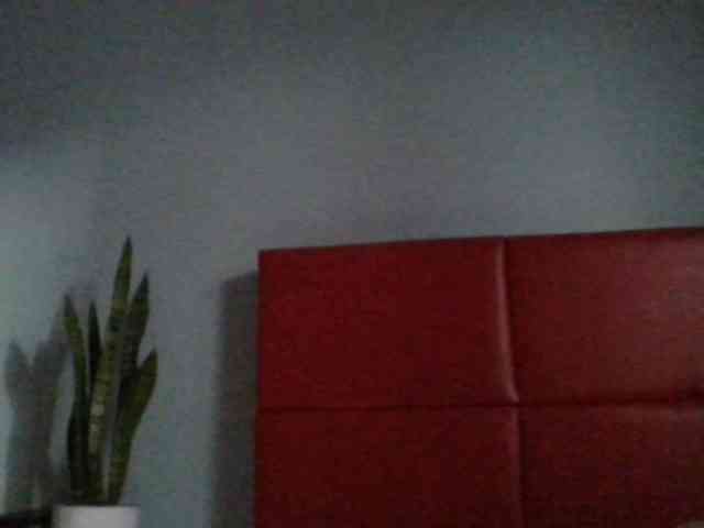 Faozia webcam