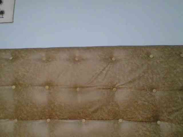 Faozia webcam