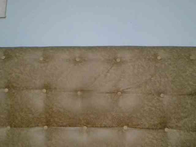 Faozia webcam