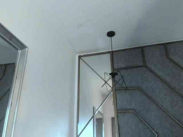 Miia-Colliins-- webcam