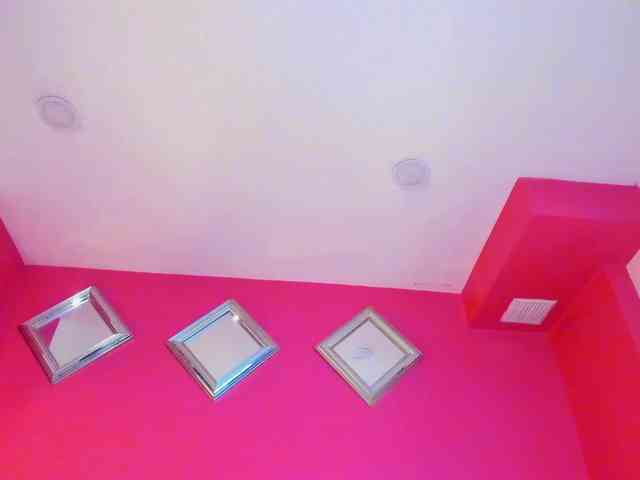 Miia-Colliins-- webcam