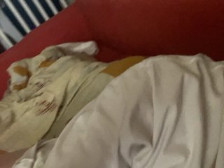Annabelle11 Porn Show