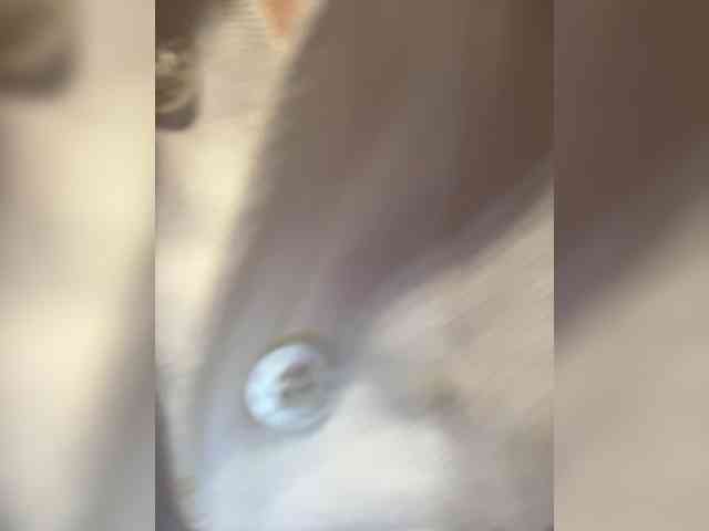 Annabelle11 webcam