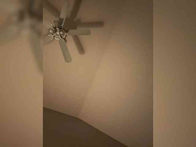 Peachyz webcam