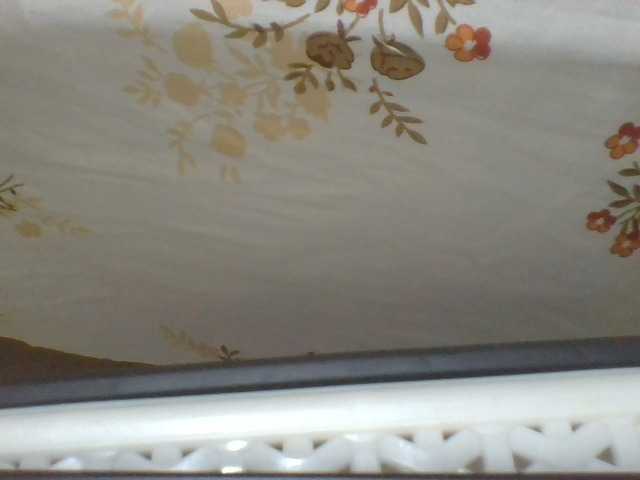 ShallyVee's BongaCams show and profile