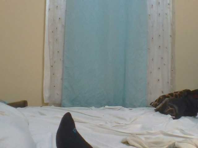 Preview of shallyvee