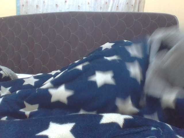 ShallyVee's BongaCams show and profile