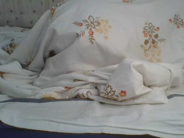 Preview of shallyvee