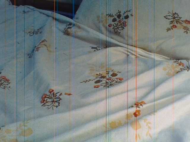 ShallyVee's BongaCams show and profile