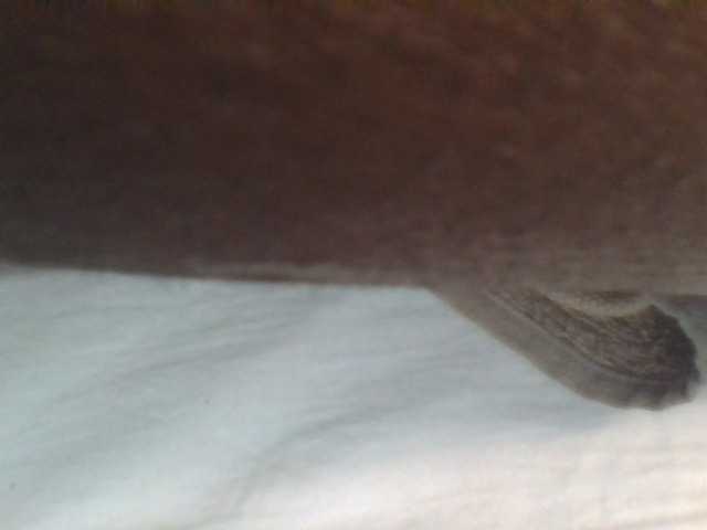 ShallyVee's BongaCams show and profile