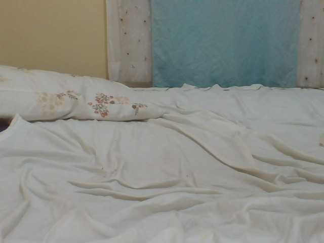 ShallyVee's BongaCams show and profile