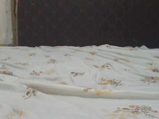 ShallyVee's BongaCams show and profile