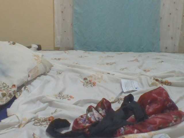 ShallyVee's BongaCams show and profile