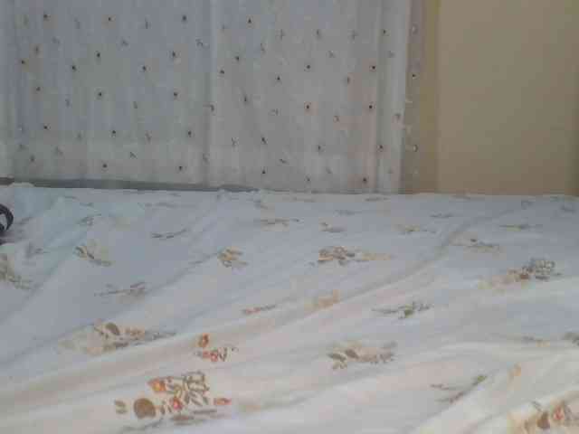 ShallyVee Live Webcam on BongaCams