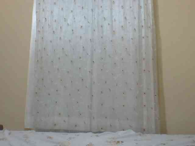 ShallyVee Live Webcam on BongaCams