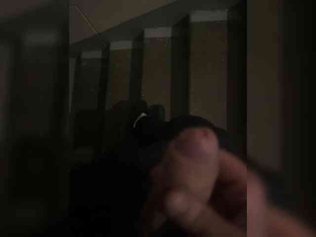 Marianna11