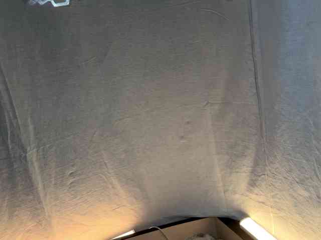 MargueritaMusto webcam