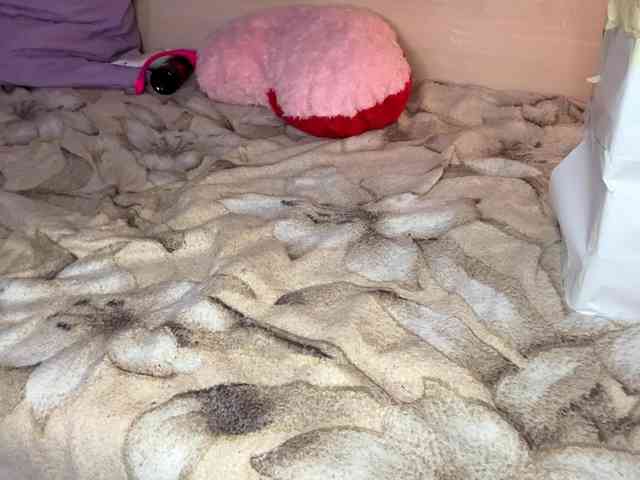 MargueritaMusto webcam