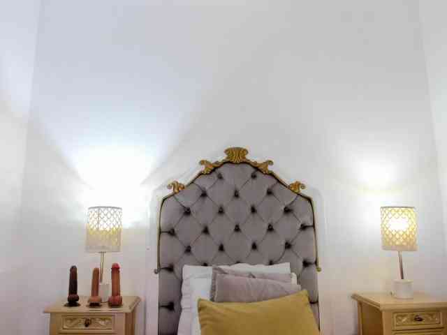 HarleyQueen666 HarleyQueen666