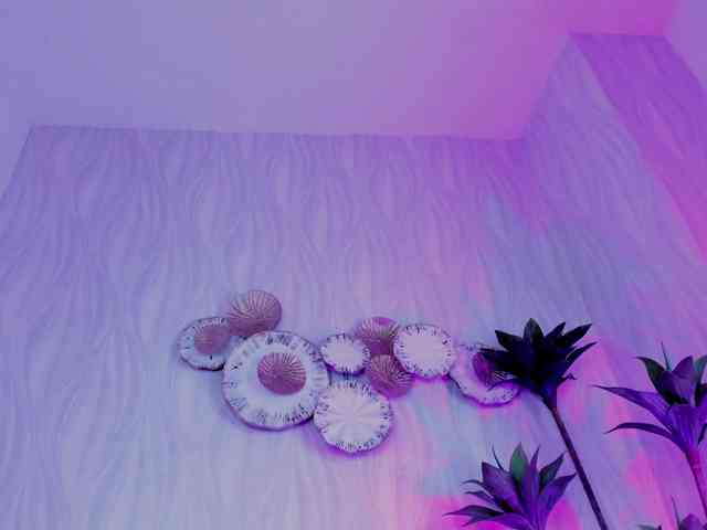 HarleyQueen666 HarleyQueen666