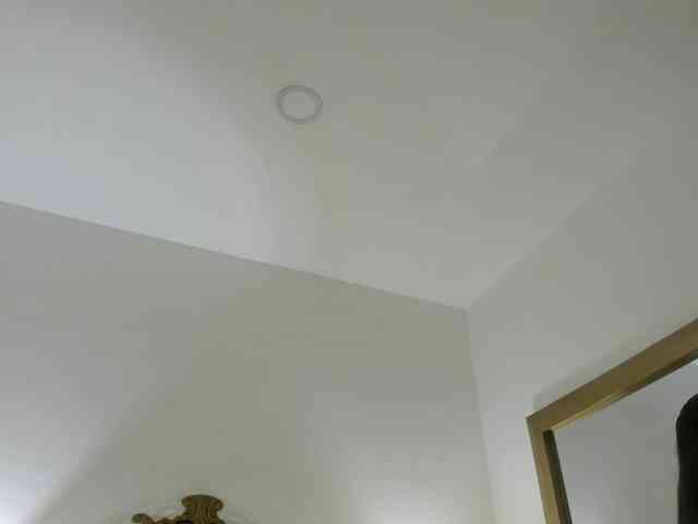 HarleyQueen666 HarleyQueen666