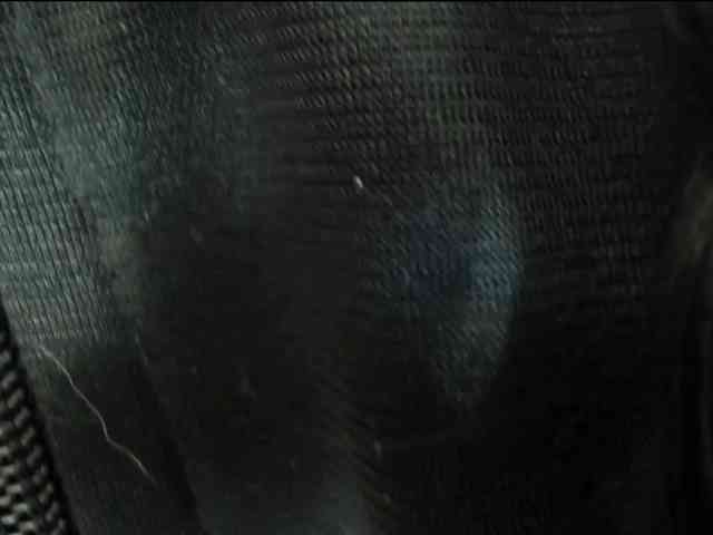 maddy-jacksonw webcam