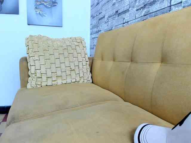 andres-sant andres-sant