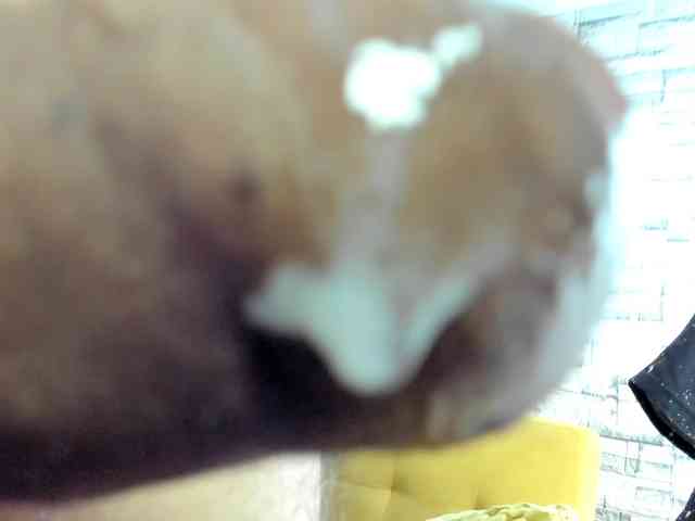 andres-sant andres-sant