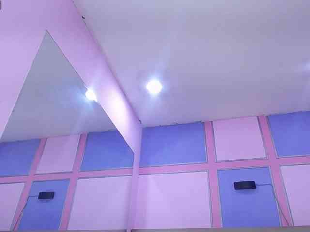 caroliine-fox caroliine-fox