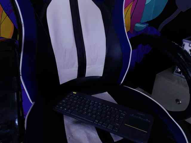 caroliine-fox webcam